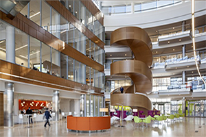 Commercial Space (Offices Large)